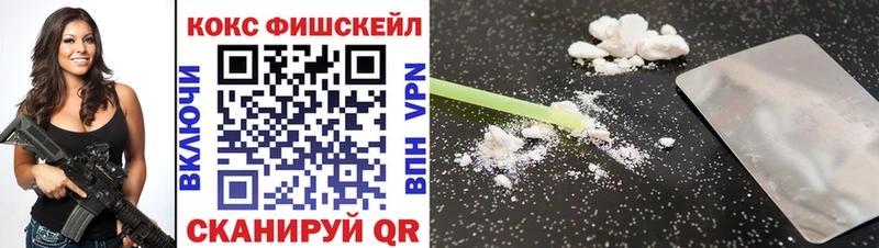 КОКАИН Fish Scale  Купить закладки  Палласовка 