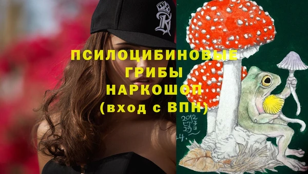 молекула духа Армянск