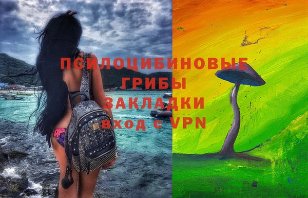 молекула духа Армянск