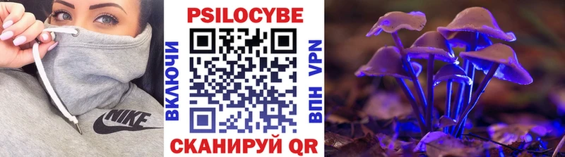 Купить где  Палласовка  Галлюциногенные грибы GOLDEN TEACHER 